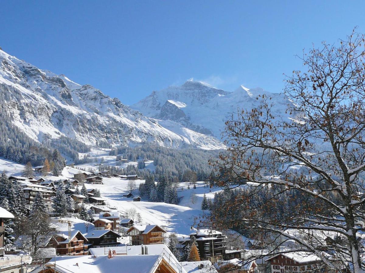 Apartment Haus Gertsch Apt-G By Interhome Wengen Eksteriør billede